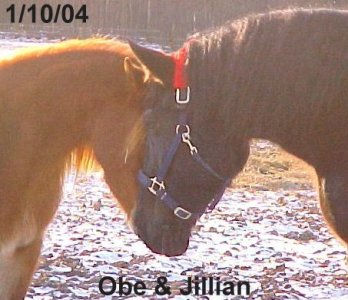 Obi & Jillian greet